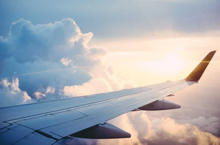 Airline Carry-On Instrument Policies - Houghton Horns