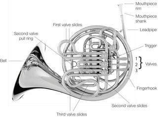 What Are the Different Parts of a French Horn? - Houghton Horns