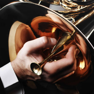 Accessory Deals - Houghton Horns