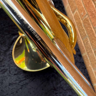 Alexander 103 - F/Bb Double French Horn - Hand Hammerd Bell with Garland - Detachable Bell - Unlacquered Finish - Serial #: 31287 (Pre-Owned)