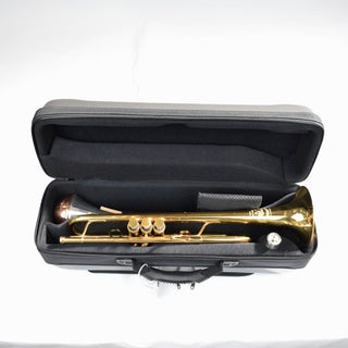 BAGS of Spain EV-3 - Oblong Flight Case for 1 Trumpet (Special Order)