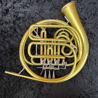 C.G. Conn 10D - F/Bb Double French Horn - Yellow Brass - Detachable Bell - Unlacquered Finish