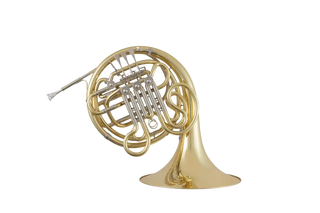 C.G. Conn CHR512 - F/Bb Double French Horn - Yellow Brass - Fixed Bell - Lacquered Finish