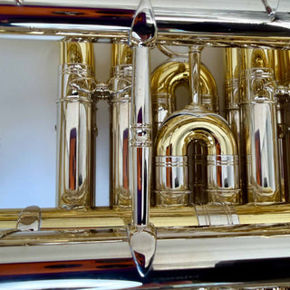 Dieter Otto 180K-JN - F/Bb Double French Horn - Detachable Bell - Unlacquered Finish