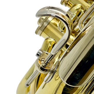 Lewis & Dürk LDx5 "Rhenish" Anniversary Edition - F/Bb Double French Horn - Yellow Brass - Detachable Bell - Unlacquered Finish