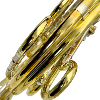 Lewis & Dürk LDx5 "Rhenish" Anniversary Edition - F/Bb Double French Horn - Yellow Brass - Detachable Bell - Unlacquered Finish