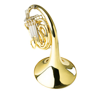 Paxman Academy - F/Bb Double French Horn - Yellow Brass - Fixed Bell - Lacquered Finish
