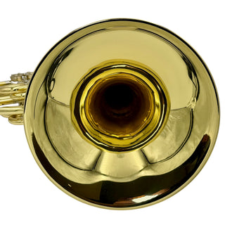 Paxman Academy - F/Bb Double French Horn - Yellow Brass - Fixed Bell - Lacquered Finish - Serial #: 5082779 (Pre-Owned)
