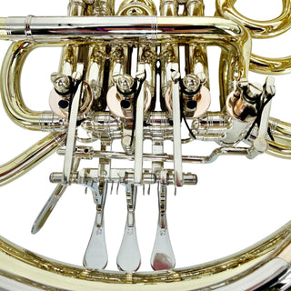 Ricco Kühn W 293 - F/Bb Double French Horn - Yellow Brass - Detachable Bell - Unlacquered Finish
