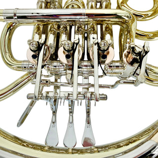 Ricco Kühn W 293 - F/Bb Double French Horn - Yellow Brass - Detachable Bell - Unlacquered Finish
