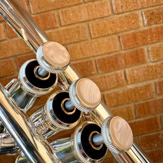 Ventus by Eastman Shires Bb Trumpet- Serial #: 109876 (Demo)