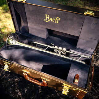 Bach 170S43GYR "Apollo" B - flat Trumpet - Houghton Horns