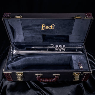 Bach 170S43GYR "Apollo" B - flat Trumpet - Houghton Horns