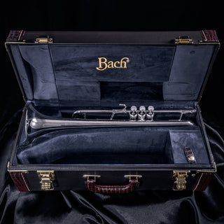 Bach Stradivarius 170S43GYR "Apollo" B-flat Trumpet
