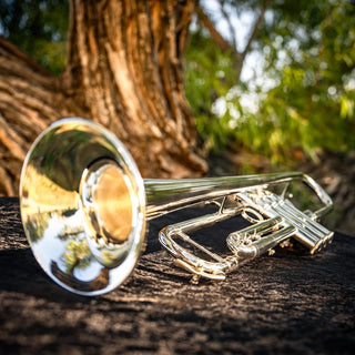 Bach Apollo 170S43GYR Professional B-flat Trumpet