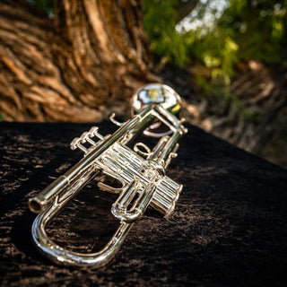 Bach Apollo 170S43GYR Professional B-flat Trumpet