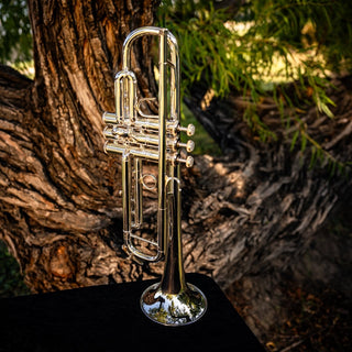 Bach Apollo 170S43GYR Professional B-flat Trumpet