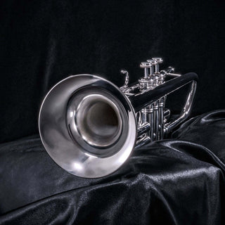 Bach Apollo 170S43GYR Professional B-flat Trumpet