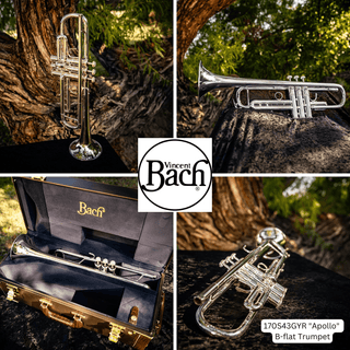 Bach Apollo 170S43GYR Professional B - flat Trumpet - Houghton Horns