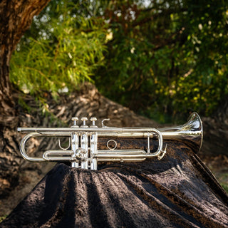 Bach Stradivarius 170S43GYR "Apollo" B - flat Trumpet - Houghton Horns