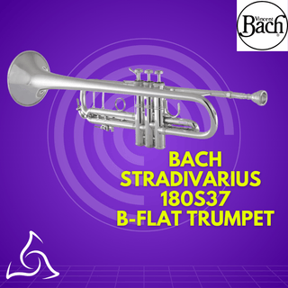 Bach Stradivarius 180S37 Series B - flat Trumpet - Houghton Horns