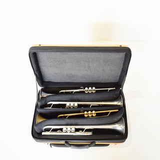 BAGS of Spain Case for 4 Trumpets (Special Order) - Houghton Horns