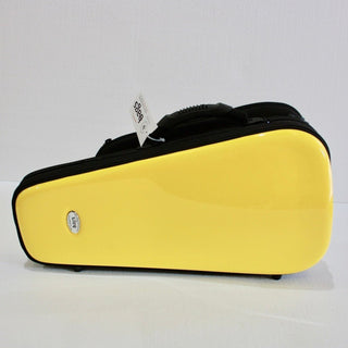 BAGS of Spain EV - 1 - Case for 1 Trumpet (Special Order) - Houghton Horns