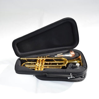 BAGS of Spain EV - 1 - Case for 1 Trumpet (Special Order) - Houghton Horns