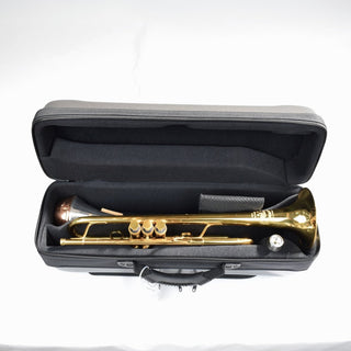 BAGS of Spain Flight Case for 1 Trumpet (Special Order) - Houghton Horns