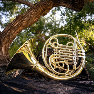 Hans Hoyer G10 Double Horn - Houghton Horns