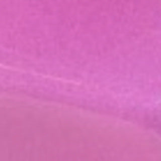 BAGS of Spain EV-1 - Case for 1 Trumpet (Special Order)