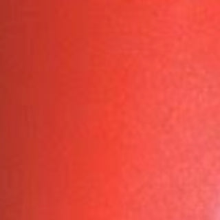 BAGS of Spain - Case for 4 Trumpets (Special Order)