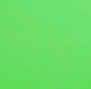 BAGS of Spain EV-3 - Oblong Flight Case for 1 Trumpet (Special Order)