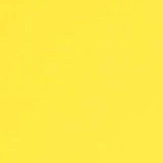 BAGS of Spain EV-3 - Oblong Flight Case for 1 Trumpet (Special Order)