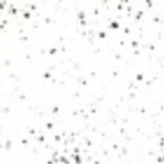 BAGS of Spain EV-3 - Oblong Flight Case for 1 Trumpet (Special Order)