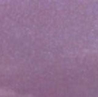 BAGS of Spain EV-3 - Oblong Flight Case for 1 Trumpet (Special Order)