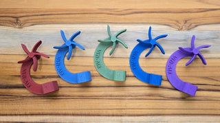 Vizi-Air - Airflow Visualization Tool for Brass Instrumentalists