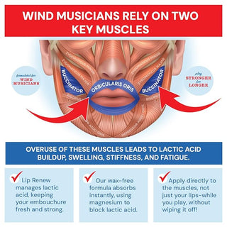 Robinson's Remedies Lip Renew Recovery Stick for Wind Musicians Bundle (4 - Pack) - Houghton Horns