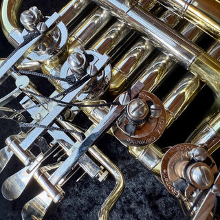 S.E. Shires Q21 - F/Bb Double French Horn - Yellow Brass - Detachable Bell - Lacquered Finish - Houghton Horns