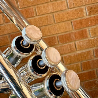 Ventus by Eastman Shires Bb Trumpet - Serial : 109876 (Demo) - Houghton Horns